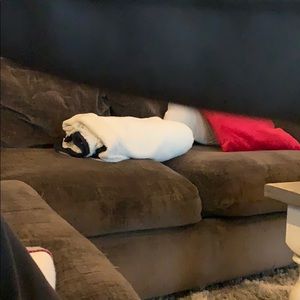 Meet your Posher, Michael